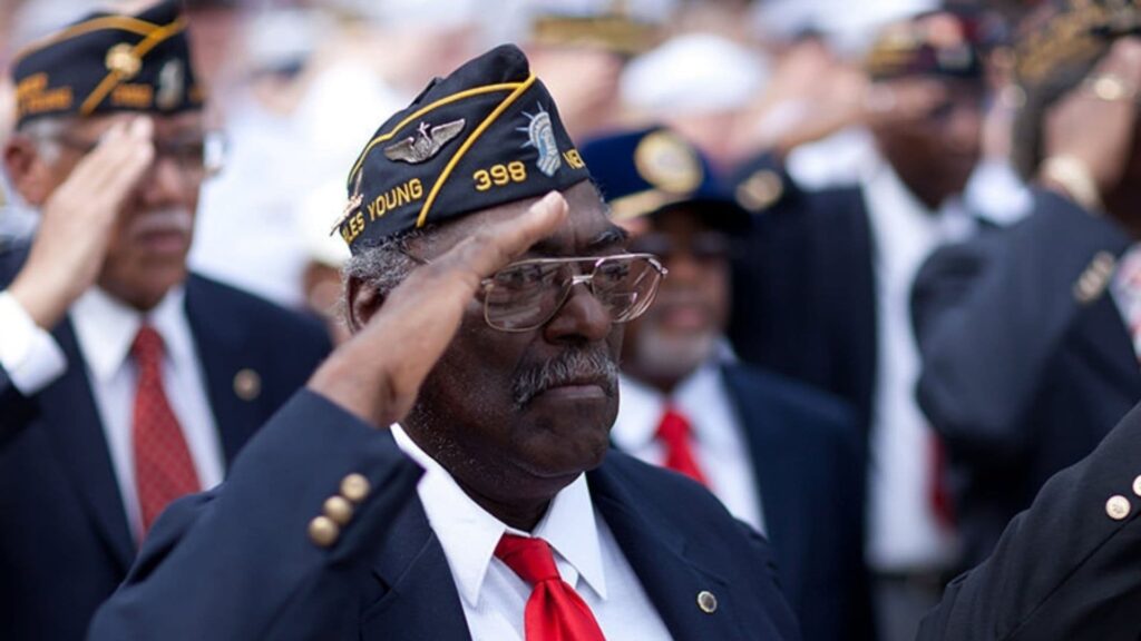 Veterans Organizations 2 Most Common Veterans Organizations